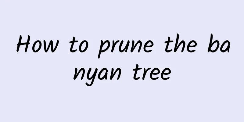 How to prune the banyan tree