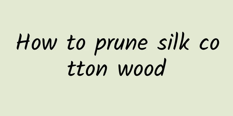 How to prune silk cotton wood