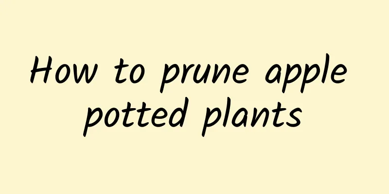 How to prune apple potted plants