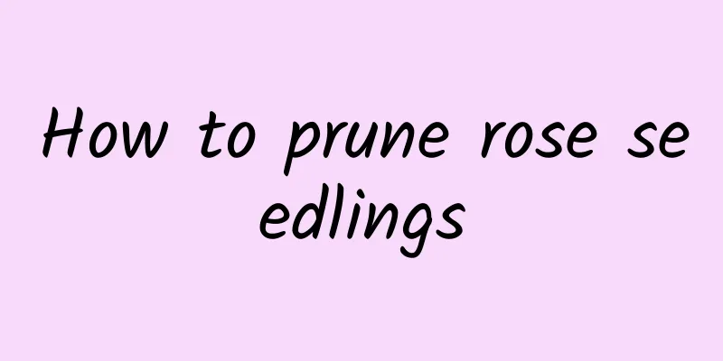 How to prune rose seedlings