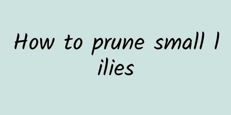 How to prune small lilies