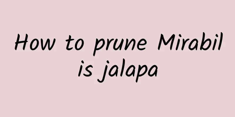 How to prune Mirabilis jalapa