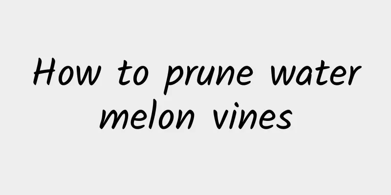 How to prune watermelon vines