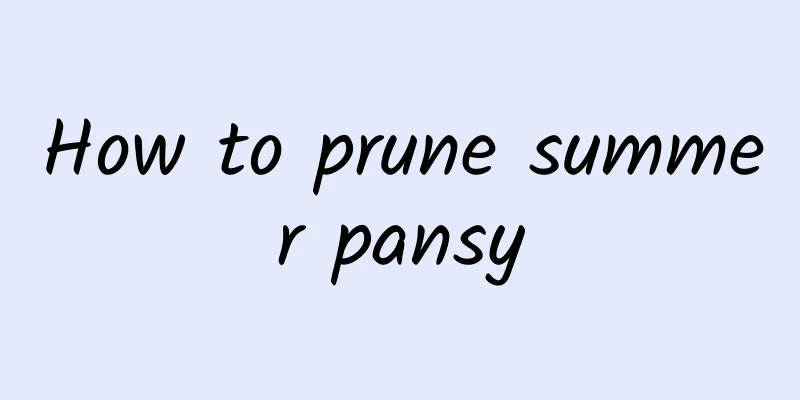 How to prune summer pansy
