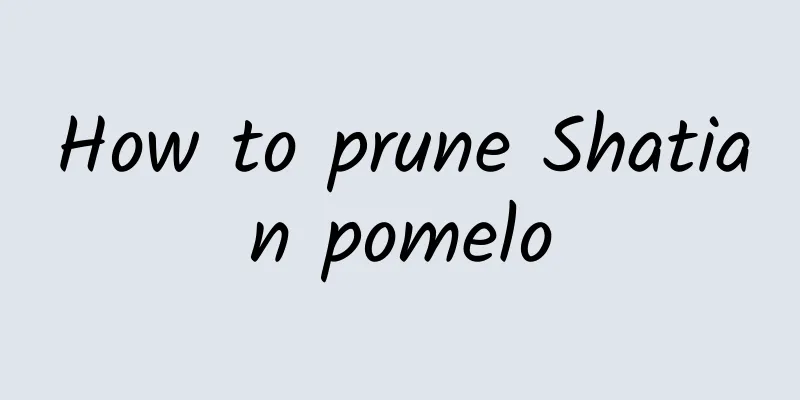 How to prune Shatian pomelo