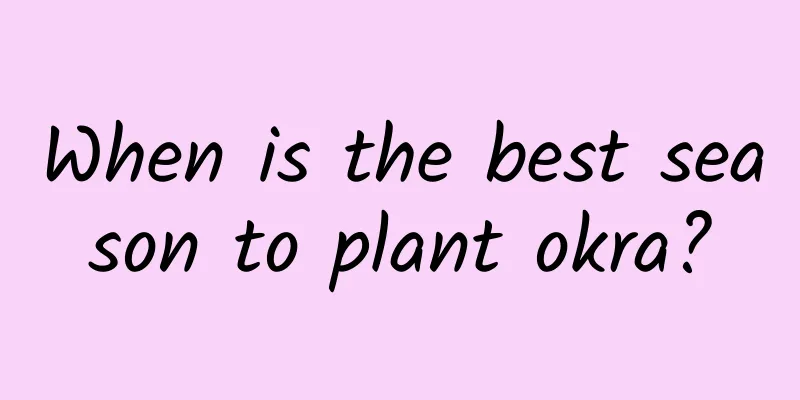 When is the best season to plant okra?
