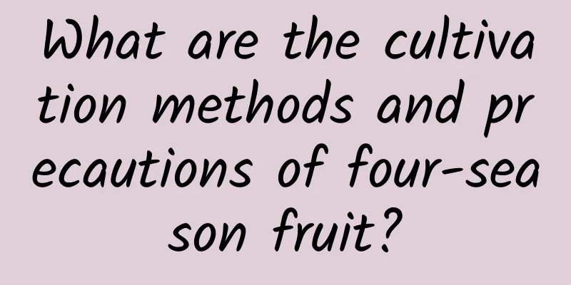 What are the cultivation methods and precautions of four-season fruit?