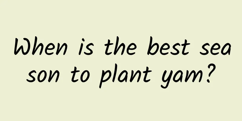 When is the best season to plant yam?
