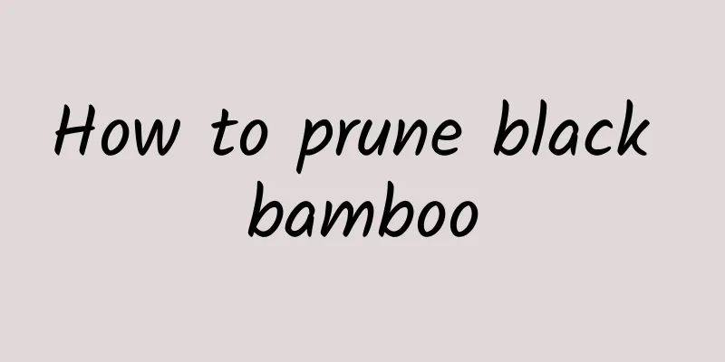 How to prune black bamboo