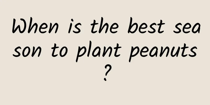 When is the best season to plant peanuts?