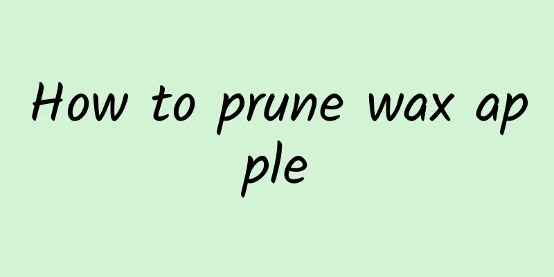 How to prune wax apple