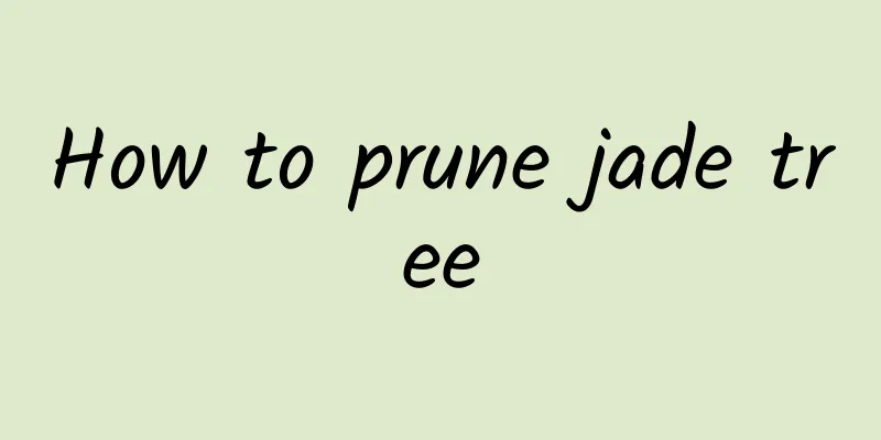 How to prune jade tree