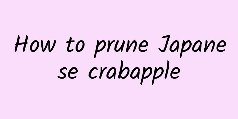 How to prune Japanese crabapple