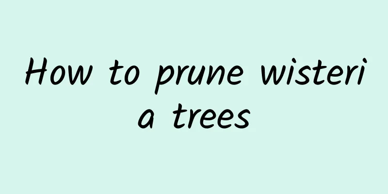 How to prune wisteria trees