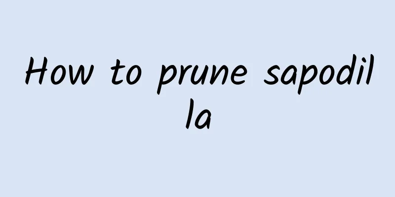 How to prune sapodilla