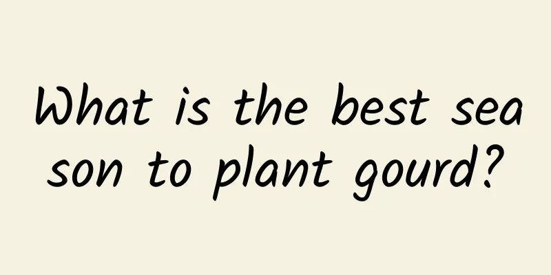 What is the best season to plant gourd?