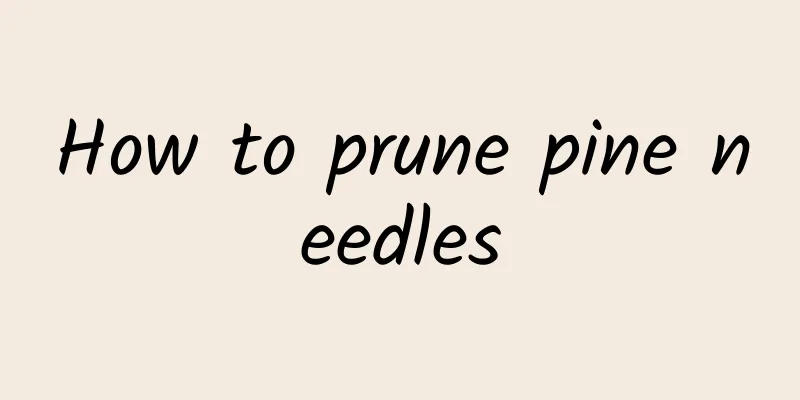 How to prune pine needles