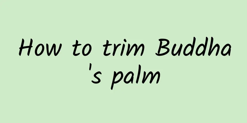 How to trim Buddha's palm