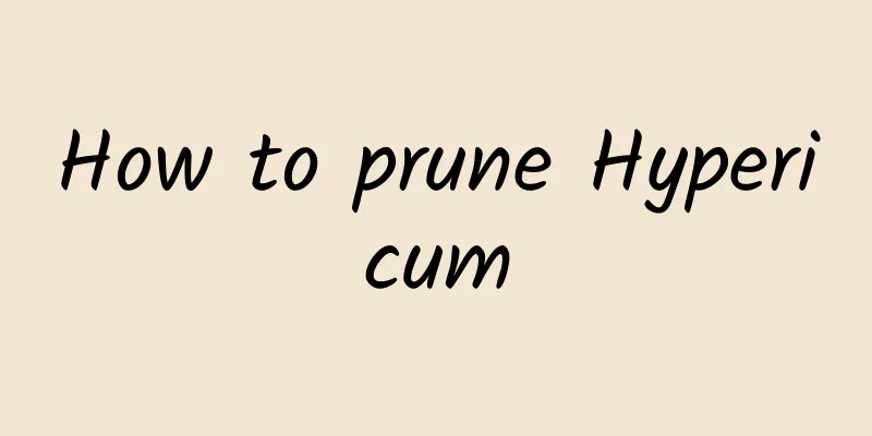 How to prune Hypericum