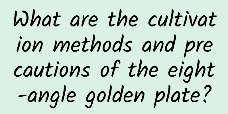 What are the cultivation methods and precautions of the eight-angle golden plate?