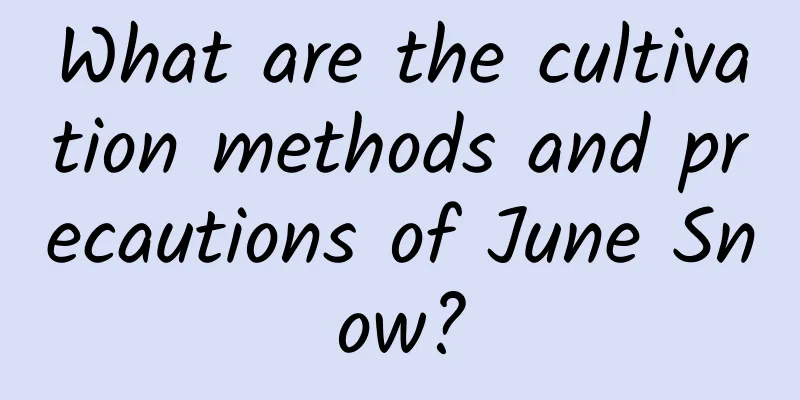 What are the cultivation methods and precautions of June Snow?