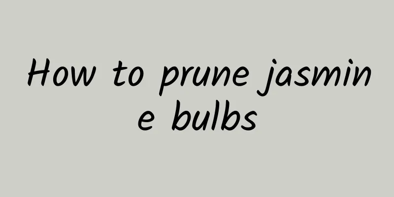 How to prune jasmine bulbs