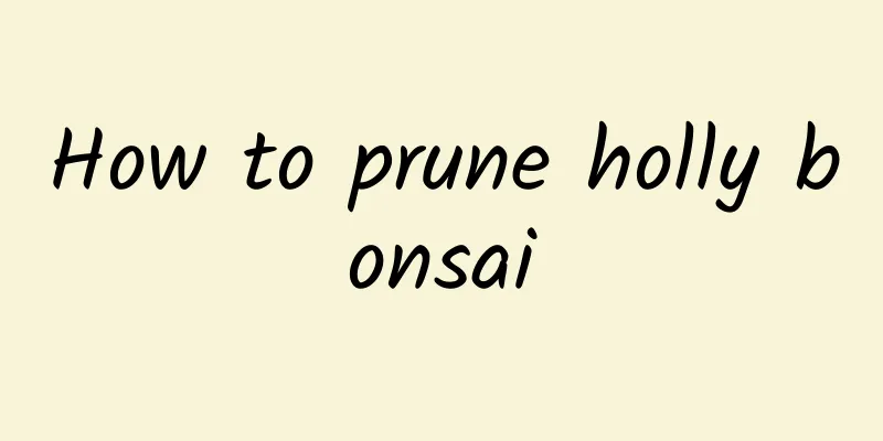 How to prune holly bonsai