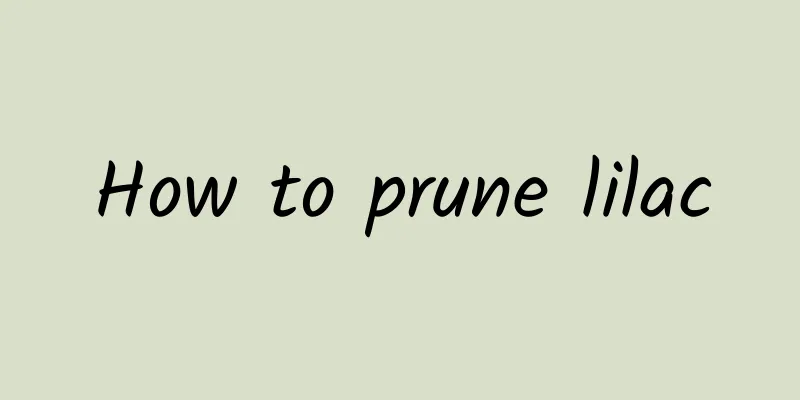 How to prune lilac