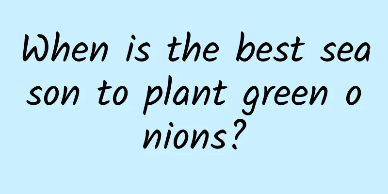 When is the best season to plant green onions?