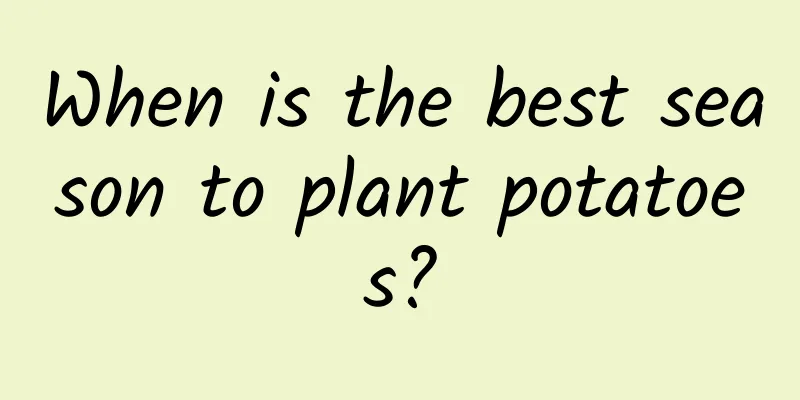 When is the best season to plant potatoes?