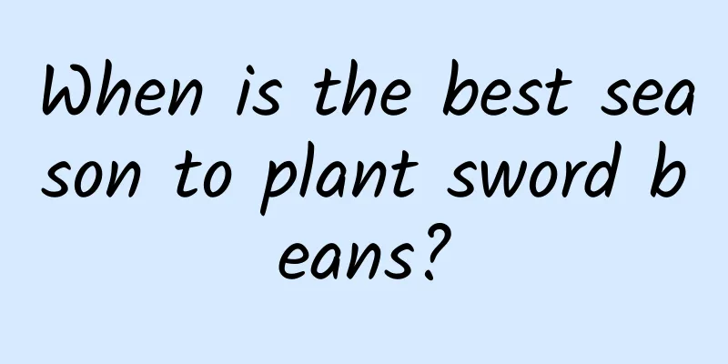 When is the best season to plant sword beans?