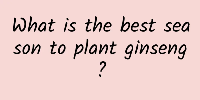 What is the best season to plant ginseng?