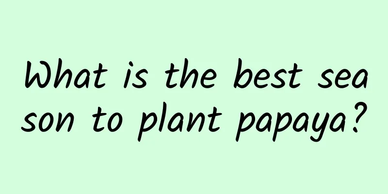 What is the best season to plant papaya?