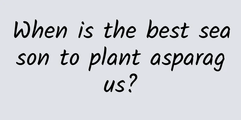 When is the best season to plant asparagus?