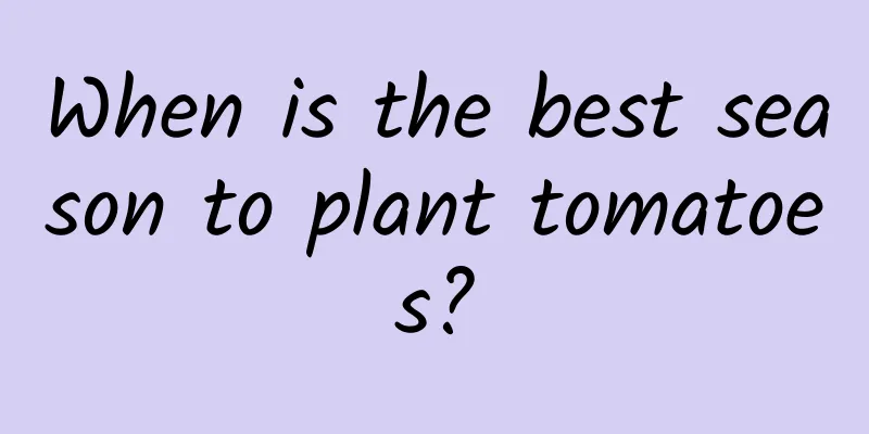 When is the best season to plant tomatoes?