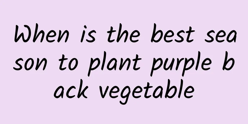 When is the best season to plant purple back vegetable