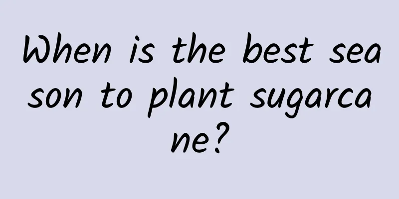When is the best season to plant sugarcane?