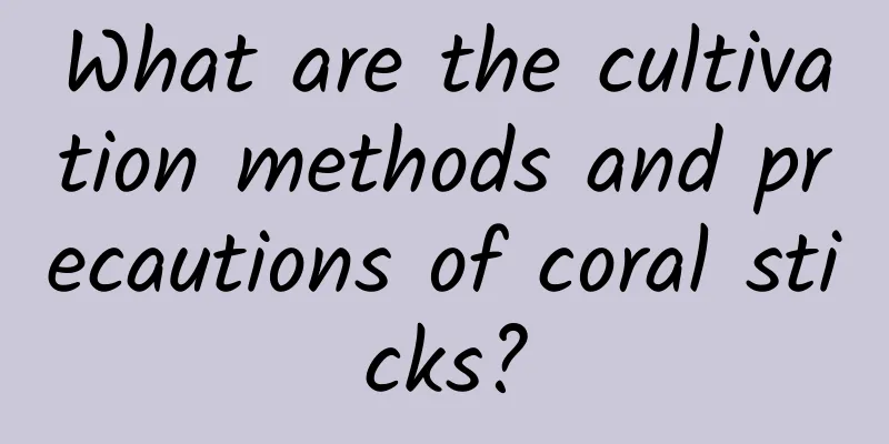 What are the cultivation methods and precautions of coral sticks?