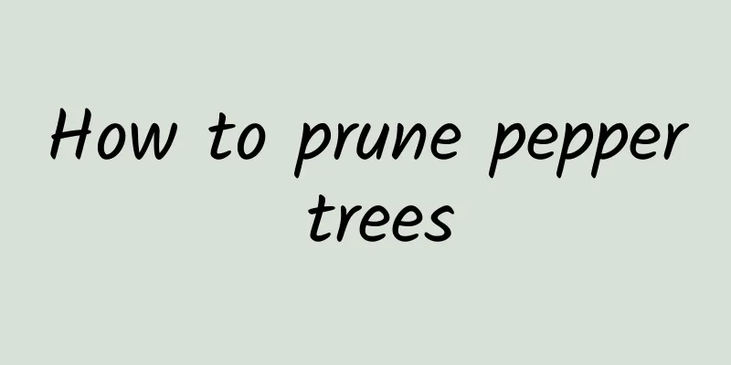 How to prune pepper trees