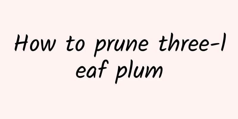 How to prune three-leaf plum