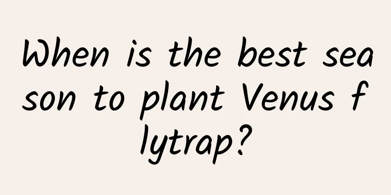 When is the best season to plant Venus flytrap?