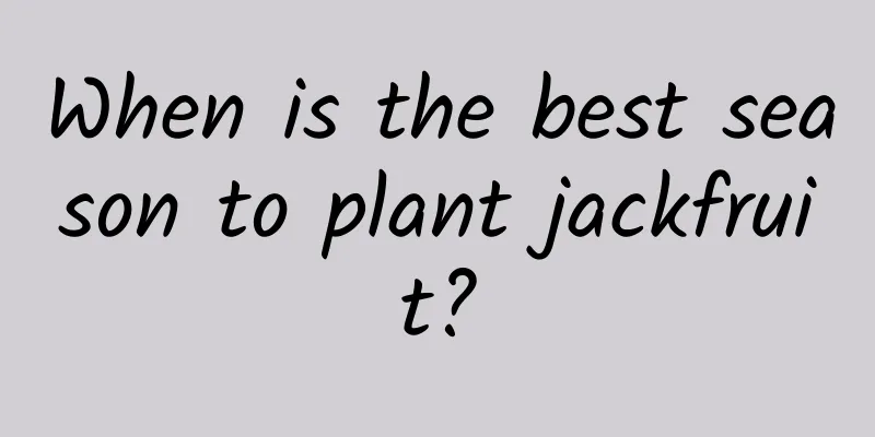 When is the best season to plant jackfruit?