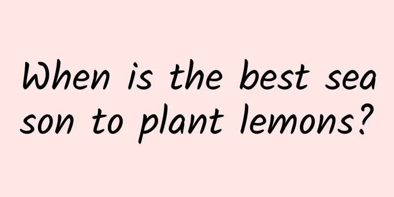 When is the best season to plant lemons?