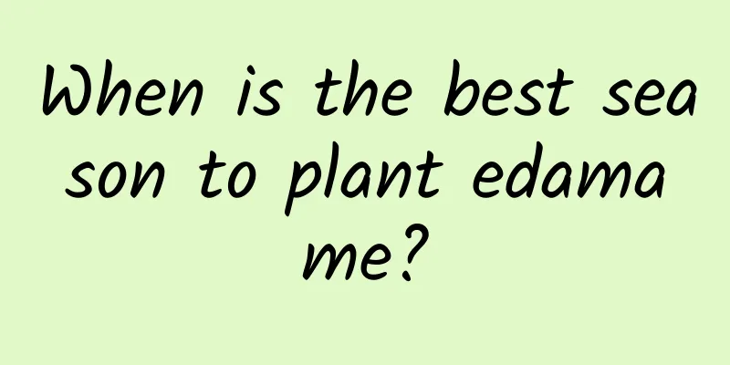 When is the best season to plant edamame?