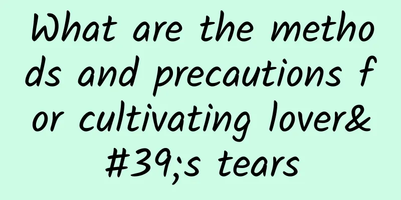 What are the methods and precautions for cultivating lover's tears