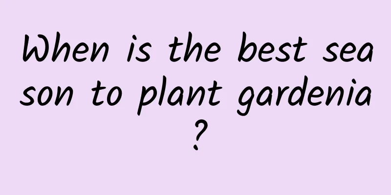When is the best season to plant gardenia?