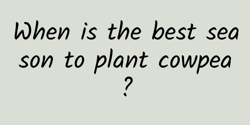 When is the best season to plant cowpea?