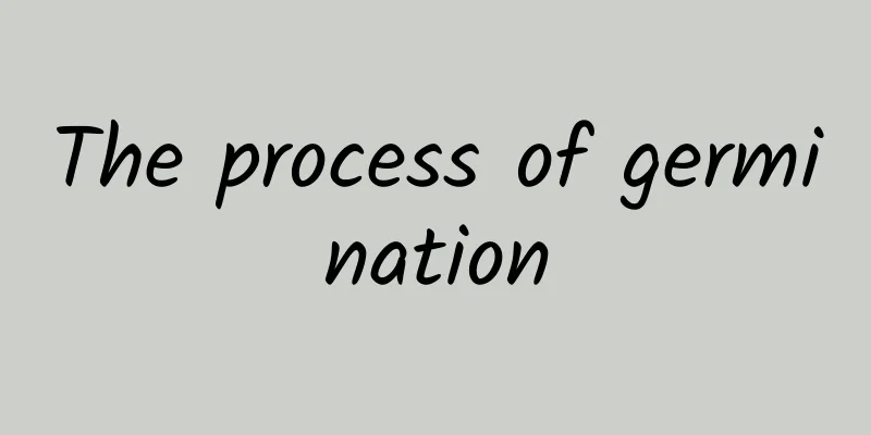 The process of germination