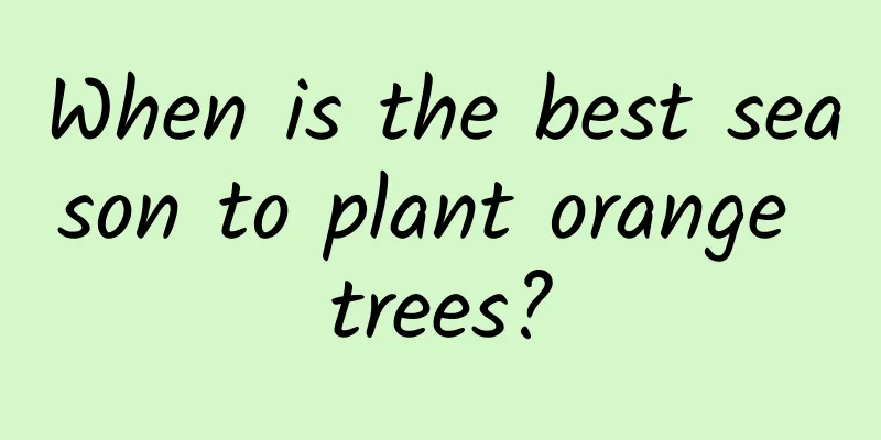 When is the best season to plant orange trees?