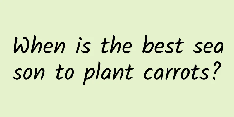 When is the best season to plant carrots?